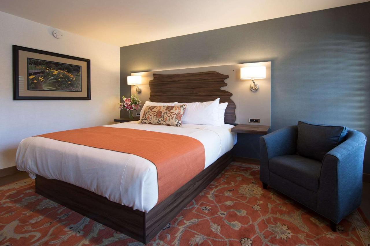 The Vine Inn Davis Luaran gambar